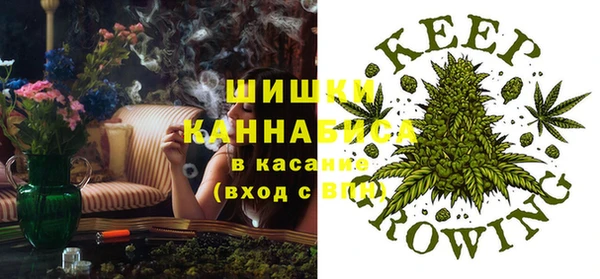 кокс Арсеньев