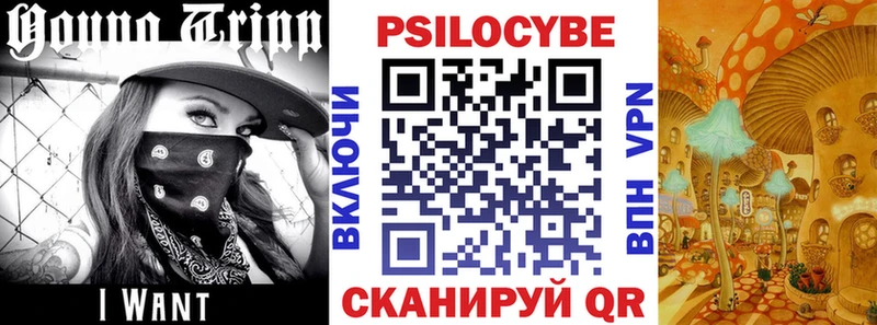 нарко площадка Telegram  Протвино  Галлюциногенные грибы мицелий 