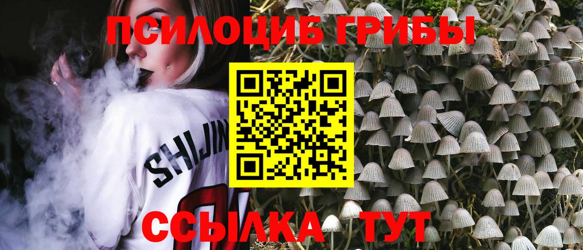 Псилоцибиновые грибы Magic Shrooms  Галлюциногенные грибы мицелий  Протвино  Вход с VPN 