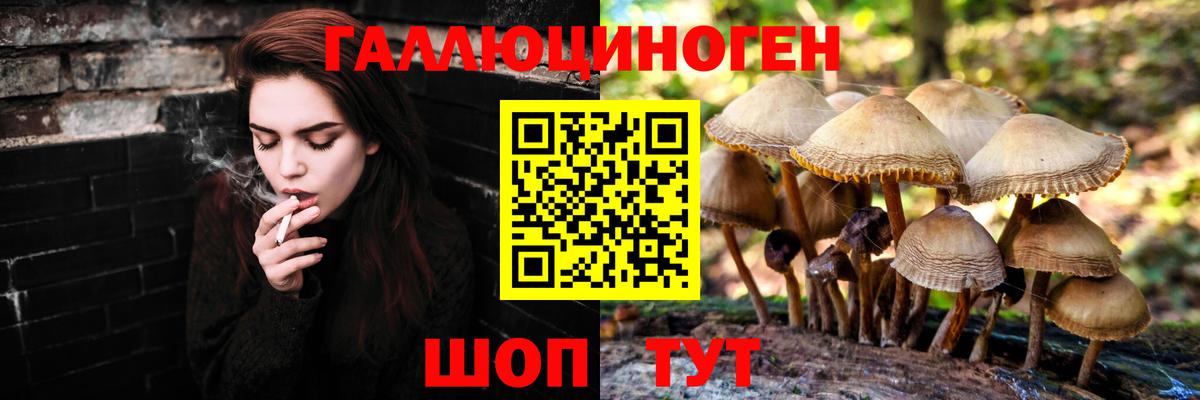 Галлюциногенные грибы прущие грибы Протвино